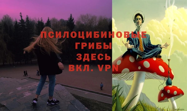 PSILOCYBIN Абдулино
