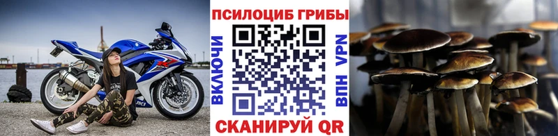 Галлюциногенные грибы ЛСД  даркнет сайт  Кадников 