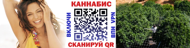 как найти наркотики  Кадников  Бошки марихуана сатива 